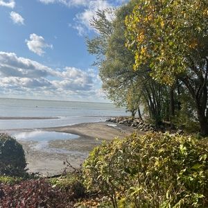 Meet your Posher, Trionne